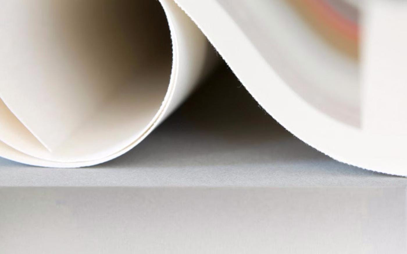 Custom Thick Oil Pet Portrait Giclee Canvas Print - Personalized Pet Oil Painting Giclee Print