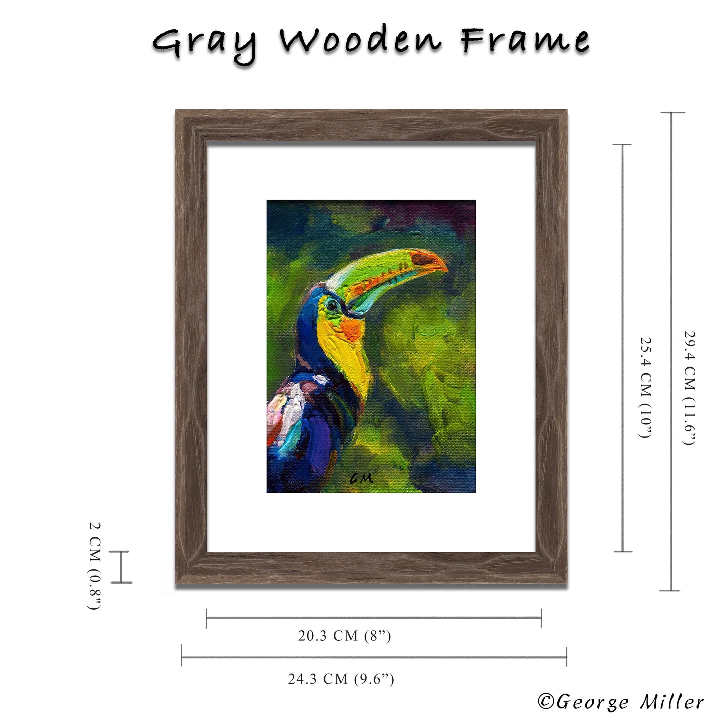 Colorful Toucan Art, "Toucan Gaze," Original Oil Painting on Canvas