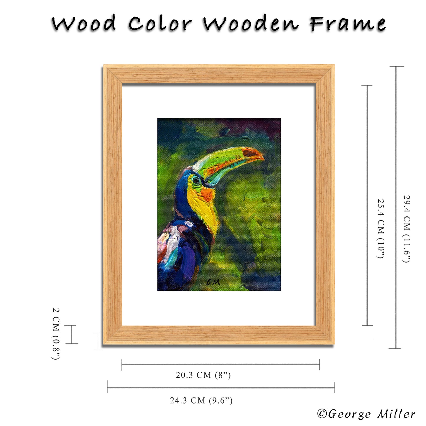 Colorful Toucan Art, "Toucan Gaze," Original Oil Painting on Canvas