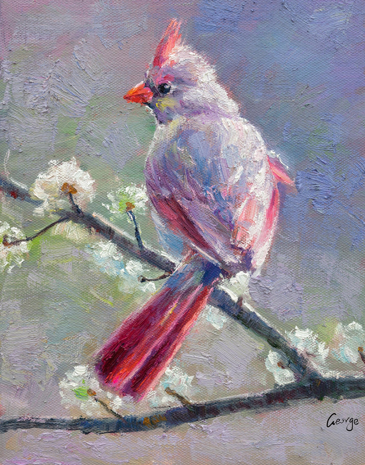Bird Painting Northern Cardinal Female, Abstract Painting, Canvas Art, Modern Painting, Canvas Painting, Bird Art, Original Abstract Art