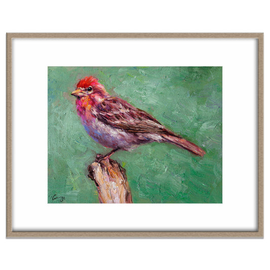Bird Artwork, Small Oil Painting  Bird House Finch, Oil Painting Original, Painting Abstract, Wall Decor, Living Room Wall Art, Modern Art