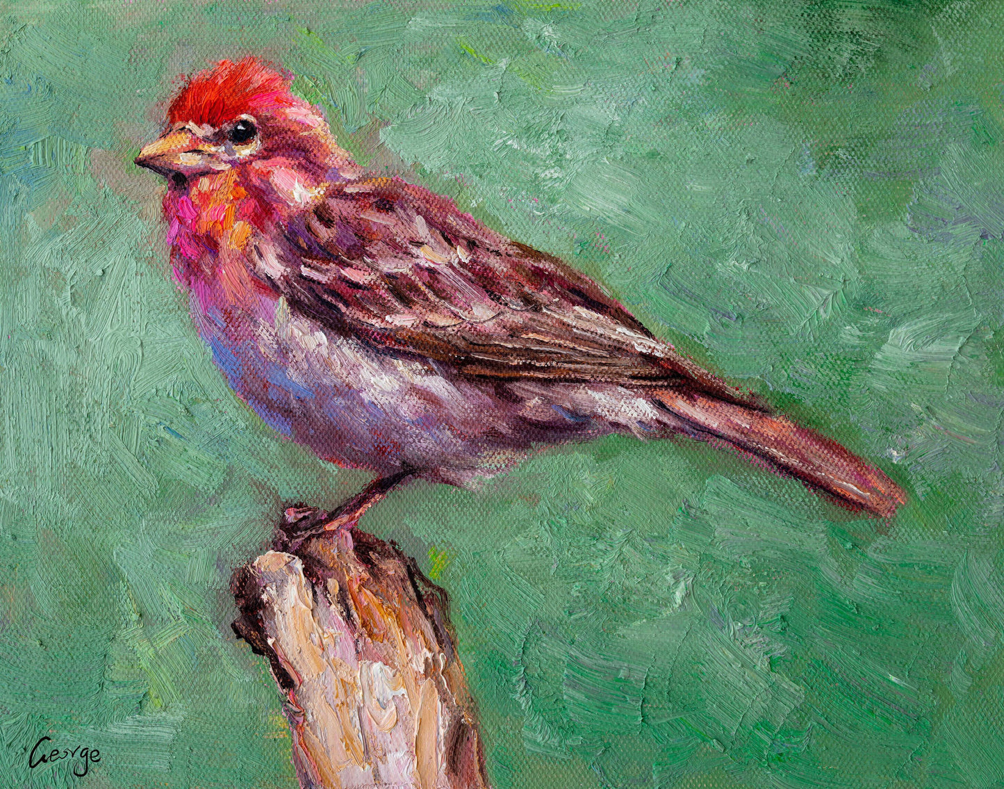 Bird Artwork, Small Oil Painting Bird House Finch, Oil Painting Original, Painting Abstract, Wall Decor, Living Room Wall Art, Modern Art