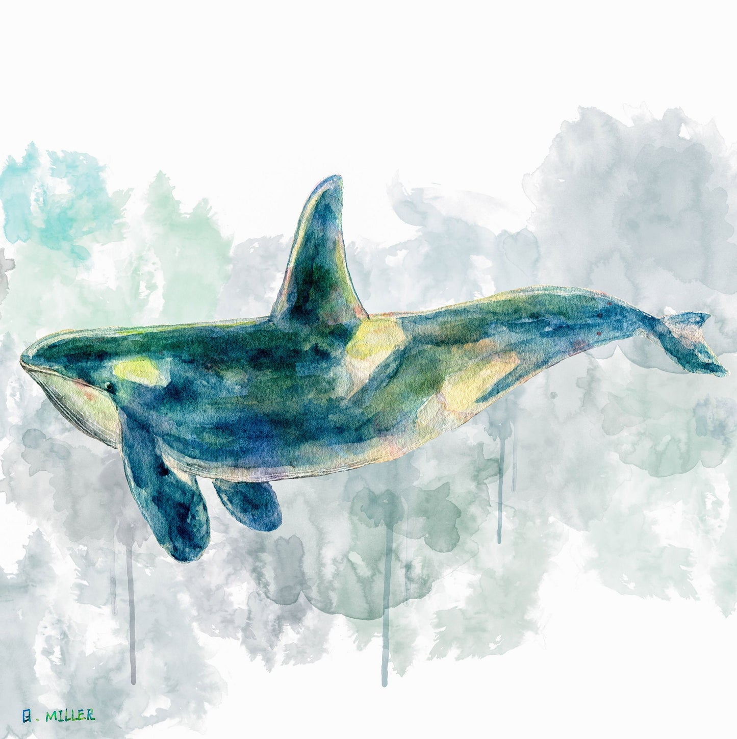 Giclée Print An Orca, Watercolor Print, Wall Prints, Abstract Painting, Art Prints, Artwork Original, Modern Wall Décor, Original Painting