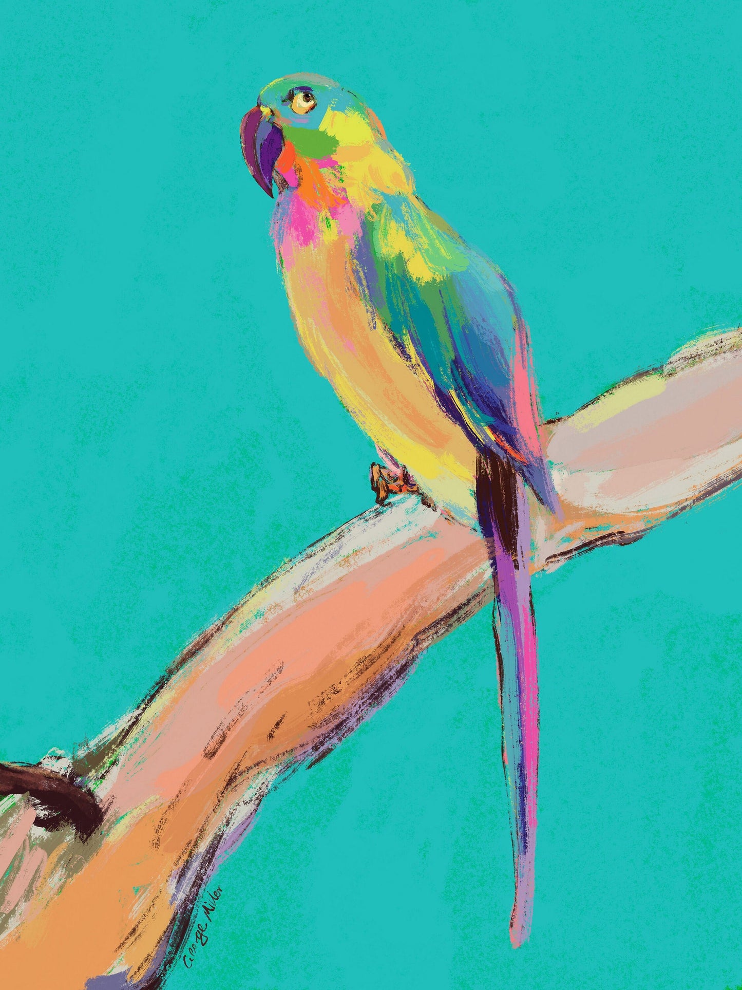 Parrot Bird Prints Wall Art, Watercolor Abstract, Wall Art Prints, Abstract Art Print, Art Print Watercolor, Artwork, Modern Art, Canvas Art