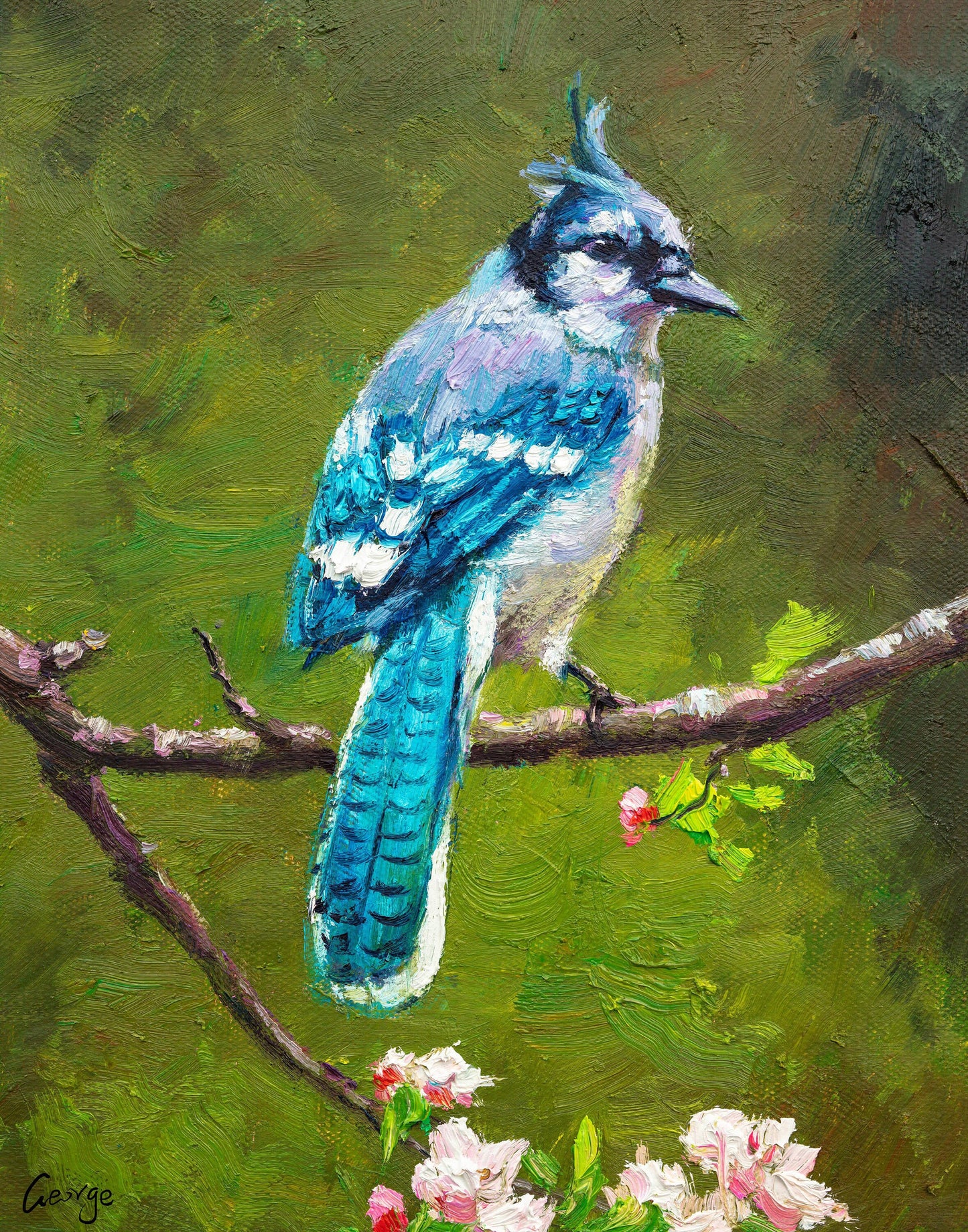 Bird Oil Painting Blue Jay, Abstract Canvas Art, Canvas Art, Birds, Oil Painting Abstract, Bedroom Wall Decor, Modern Art, Original Artwork