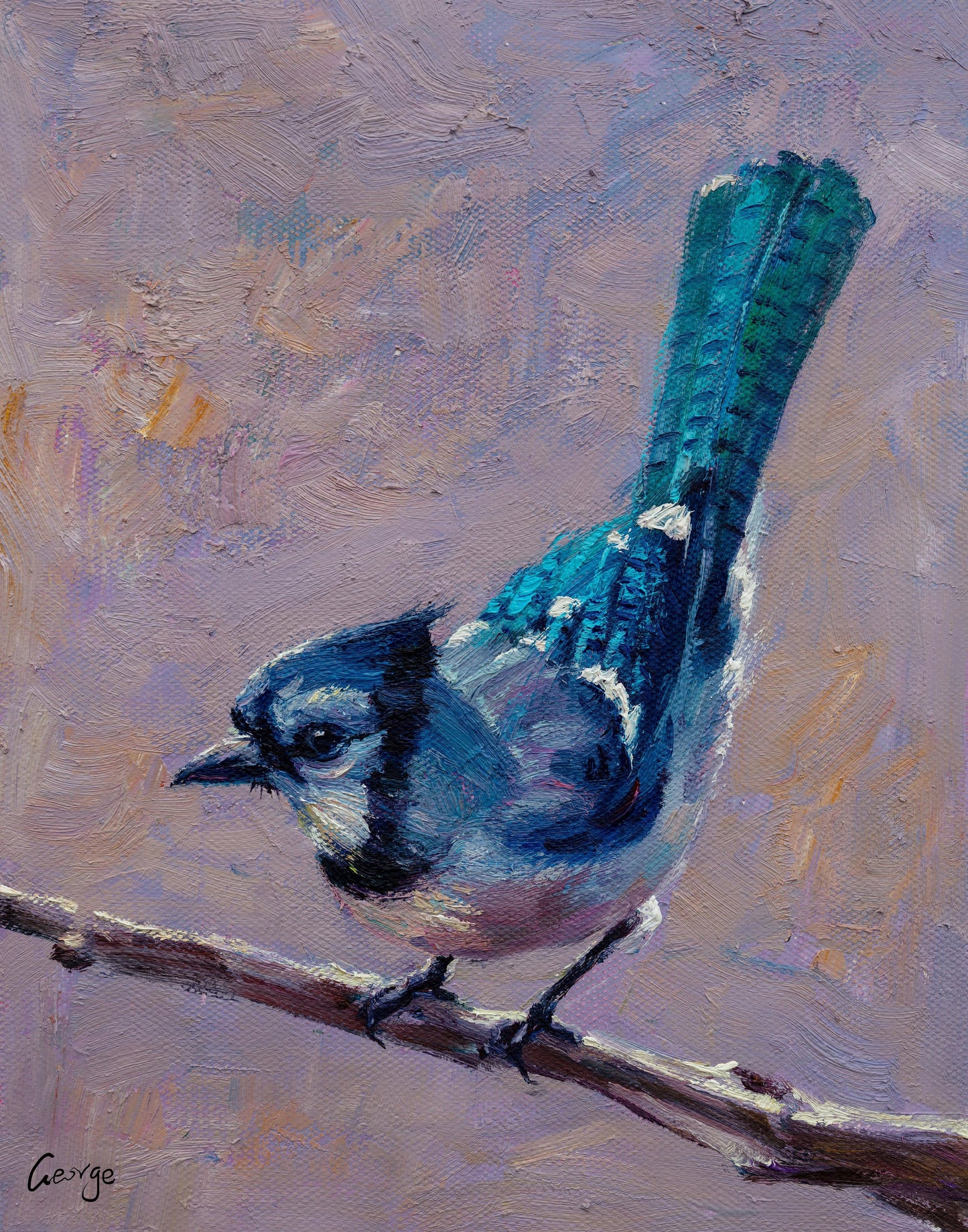Small Oil Painting Blue Jay Bird, Rustic Living Room Decor, Canvas Wall Art, Original Oil Painting, Bird Decor, Canvas Art, Modern Painting
