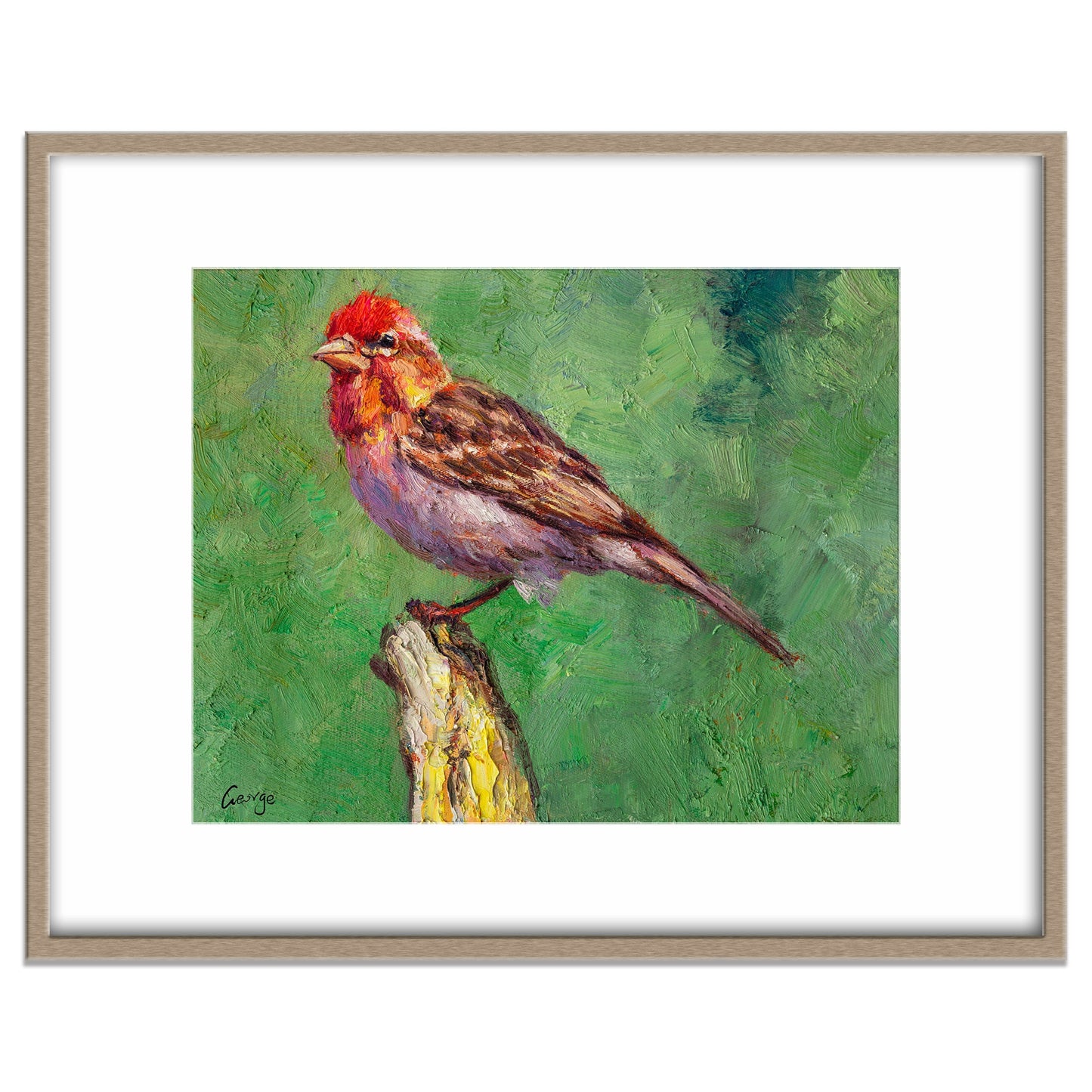 Oil Painting House Finch Bird Artwork, Contemporary Art, Living Room Wall Decor, Painting Abstract, Canvas Wall Decor, Original Painting