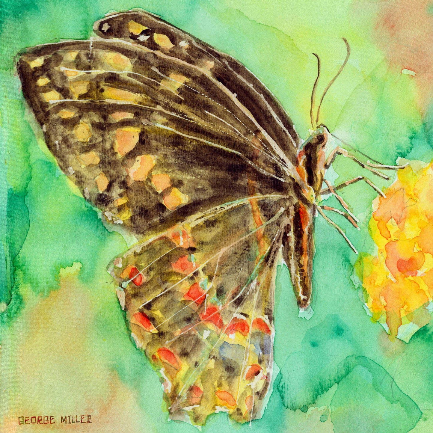 Giclée Print Butterfly, Print, Watercolor Flowers Print, Wall Art Abstract, Abstract Print, Fine Art Prints, Artwork, Modern Art Print