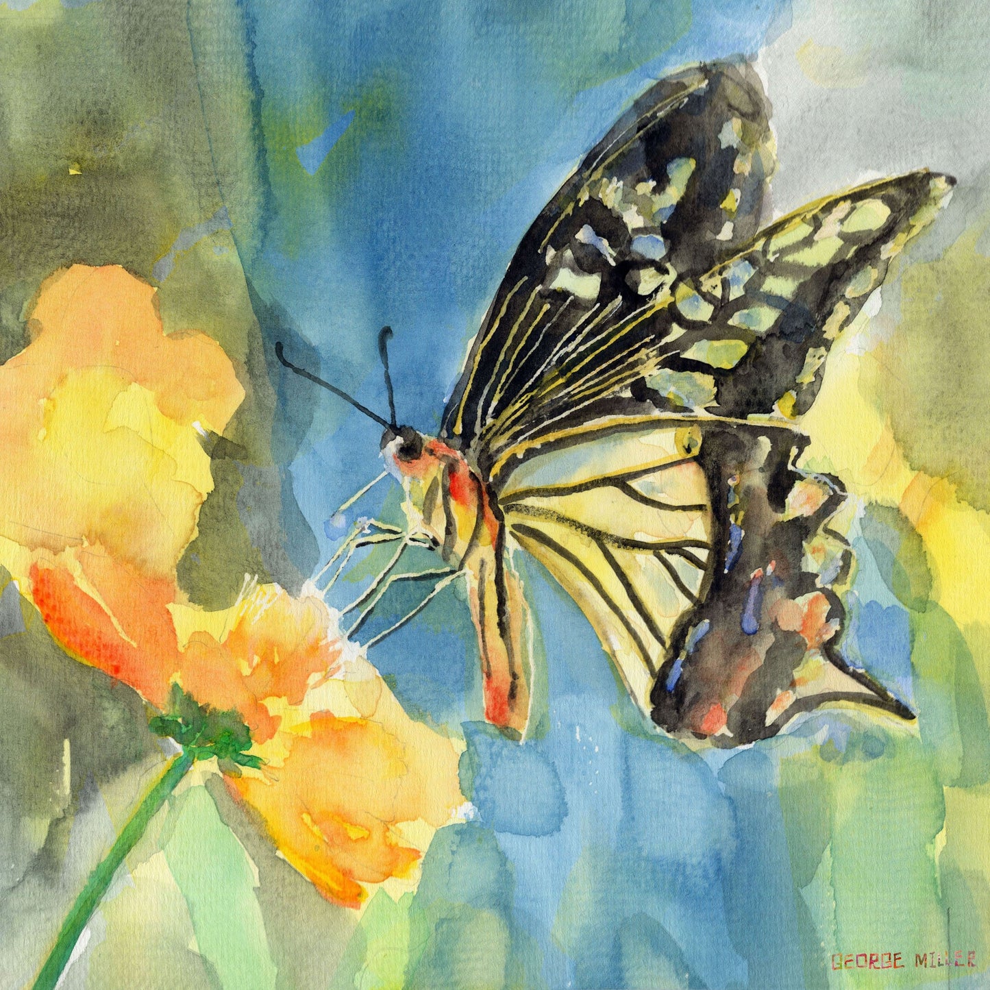 Butterfly Print Art, Watercolor Print, Wall Art Prints, Abstract Art, Art Print, Artwork Original, Modern Wall Art, Original Art Watercolor