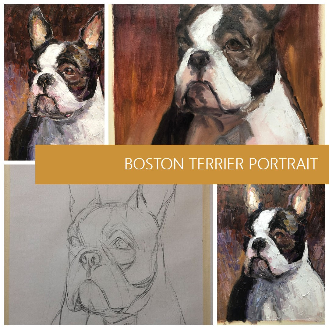 A Study in Charm: Creating a Boston Terrier Portrait