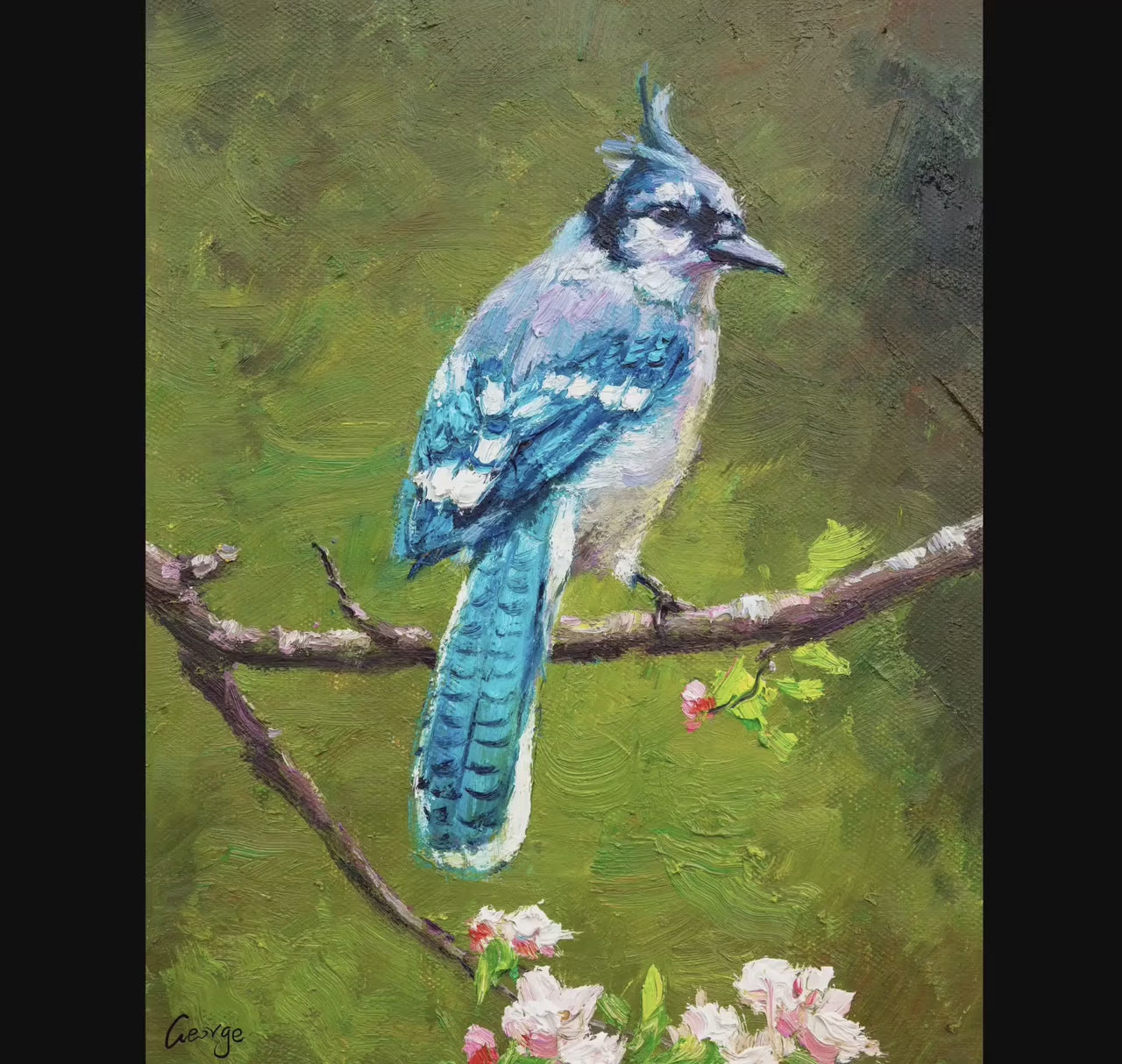 Original Bird Oil Painting Blue Jay Canvas Painting Oil On