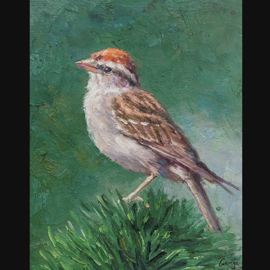 Original Oil Painting Chipping Sparrow, Artwork, Oil On Canvas Painting, Original Oil Painting Bird, Handmade Art, Contemporary, Impasto