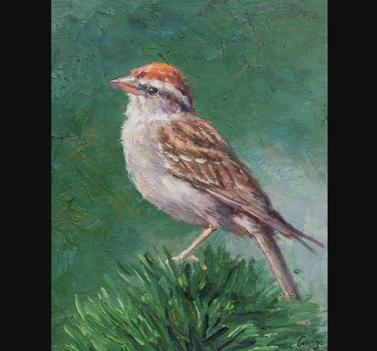 Original Oil Painting Chipping Sparrow, Artwork, Oil On Canvas Painting, Original Oil Painting Bird, Handmade Art, Contemporary, Impasto