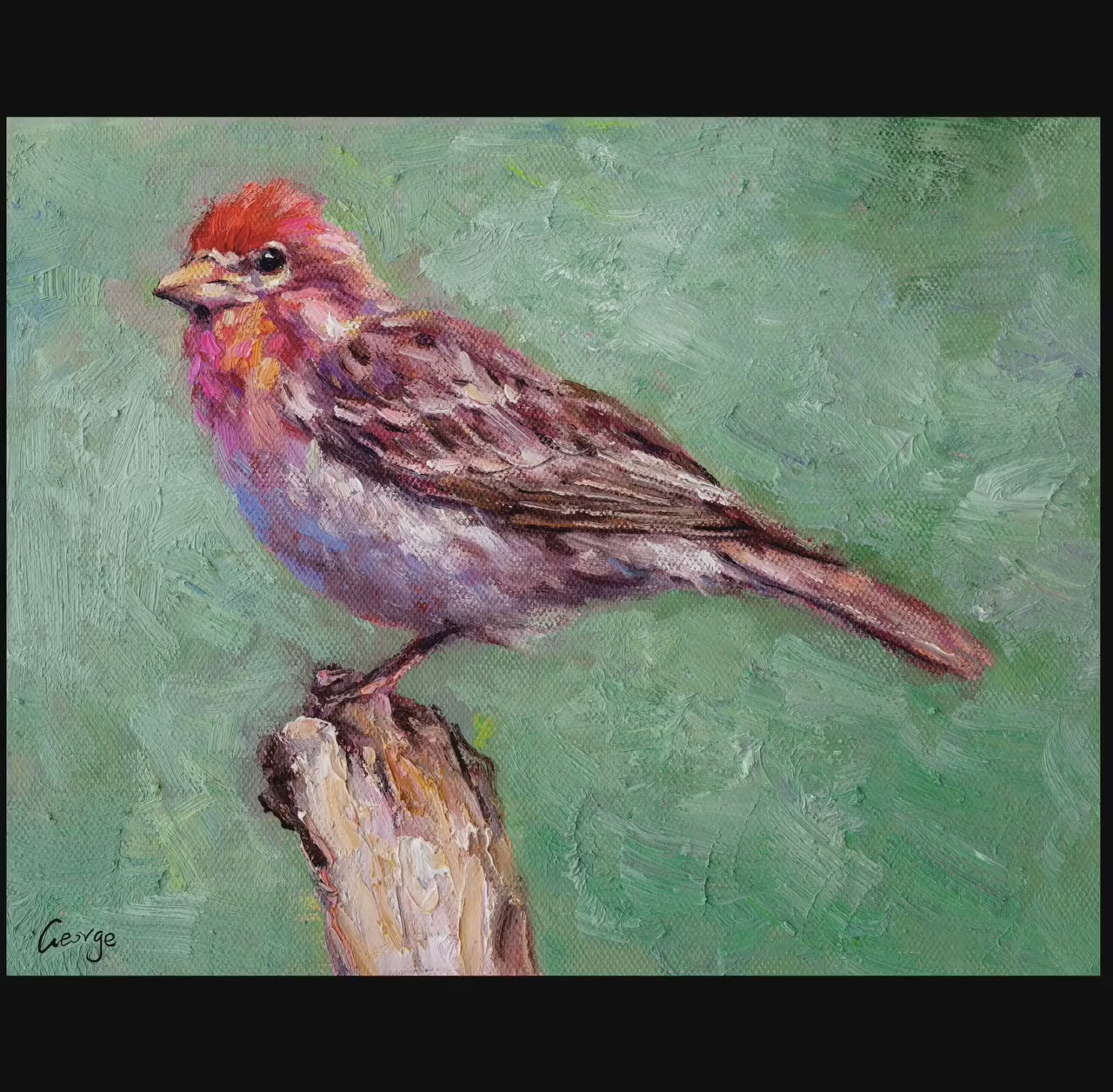 Small Oil Painting Bird House Finch, Artwork, Paintings On Canvas, Bird Oil Painting, Palette Knife Oil Painting, Modern Wall Art, Textured