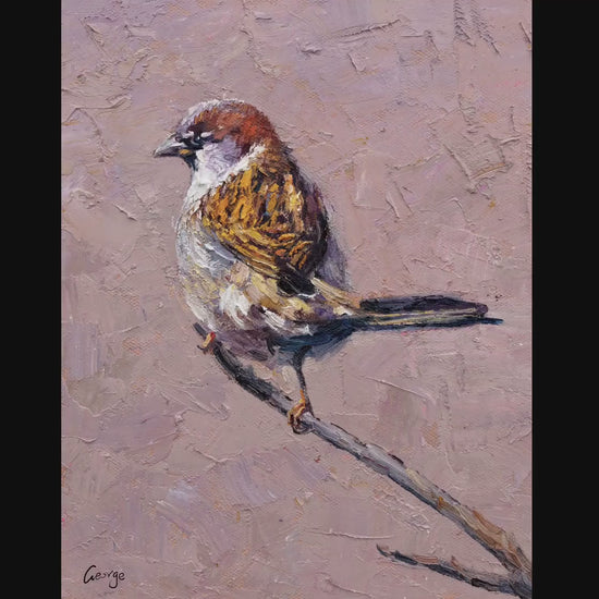 Canvas Painting Sparrow Bird, Oil Painting Of Bird, Small Paintings On Canvas Original, Handmade, Contemporary Art, Impasto Painting
