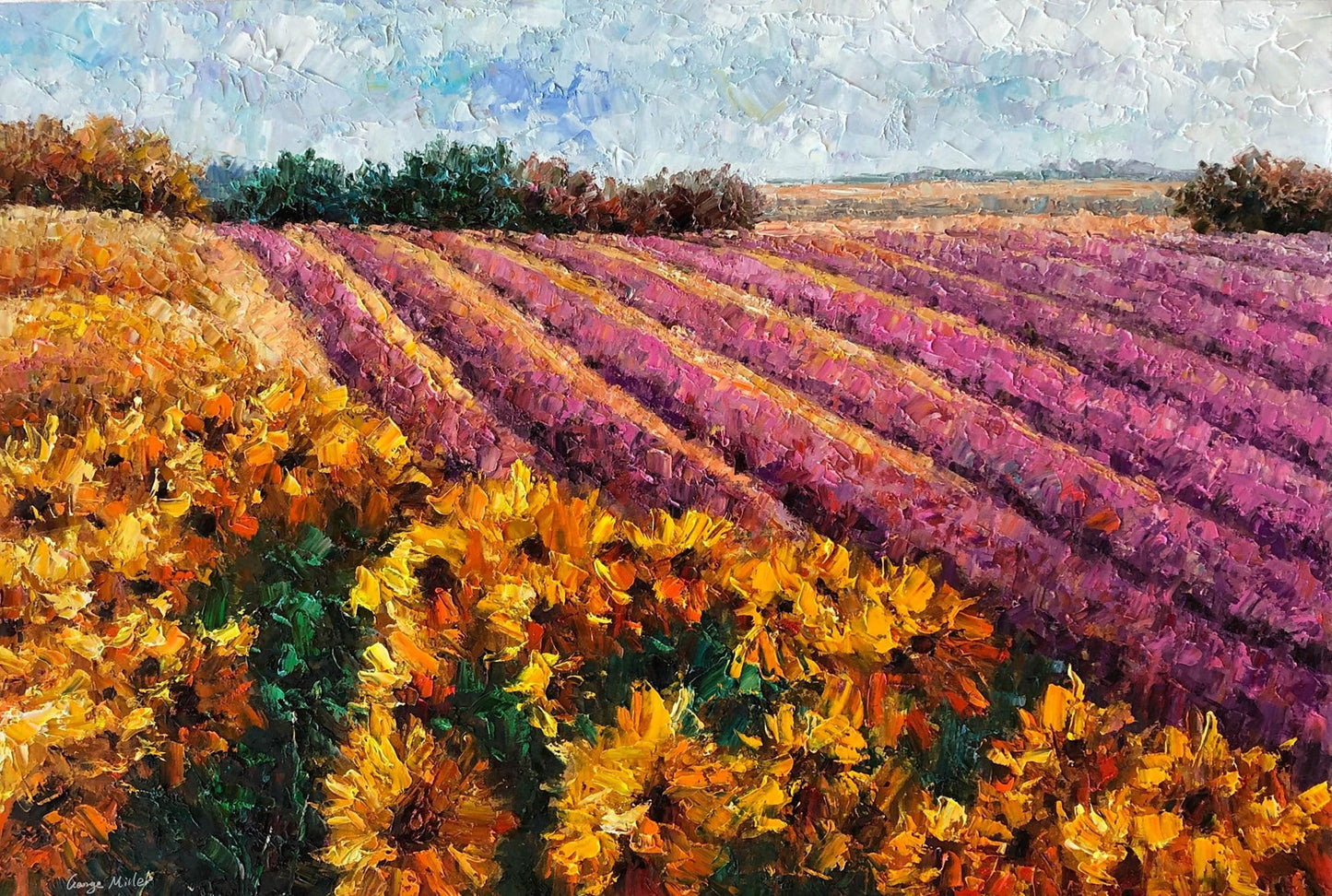 Original Landscape Oil Painting Lavender Fields With Sunflowers, Canvas Art, Extra Large Painting, Handmade Painting, Modern Painting
