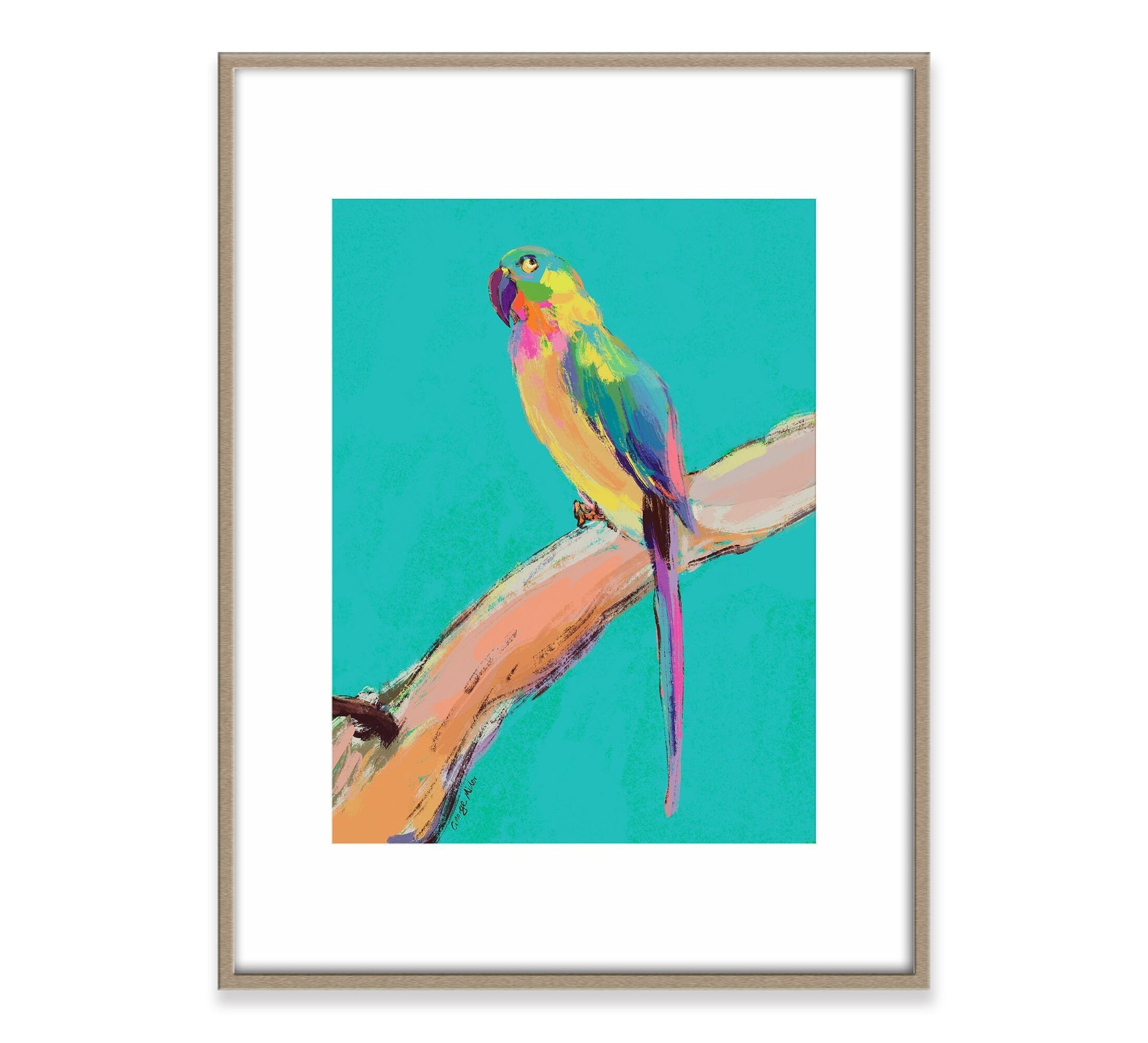 Parrot Bird Prints Wall Art, Watercolor Abstract, Wall Art Prints, Abstract Art Print, Art Print Watercolor, Artwork, Modern Art, Canvas Art