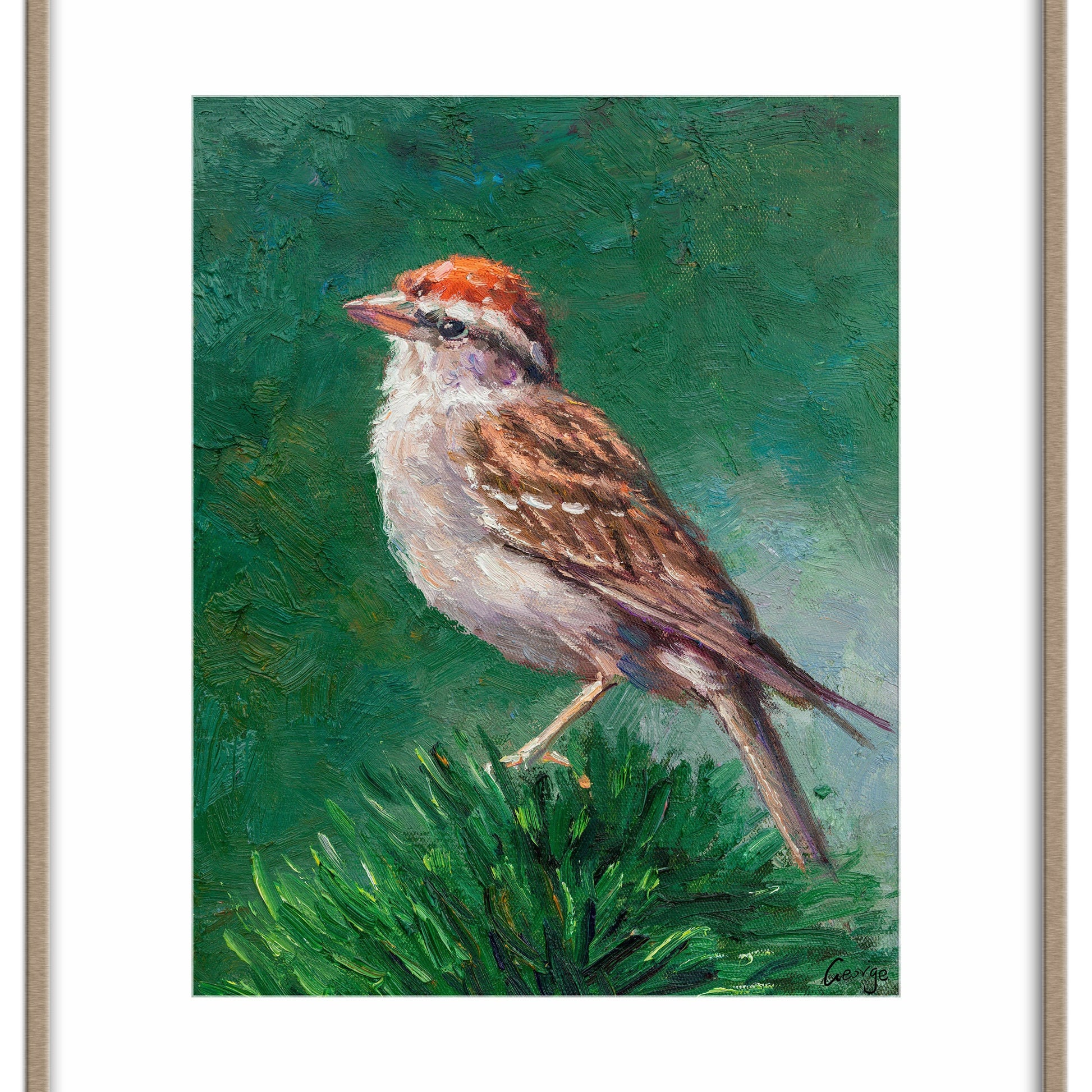 Small Oil Painting Bird House Finch, Bird Decor, Canvas Painting, Original Painting, Coffee Wall Art, Contemporary Art, Birthday Gift