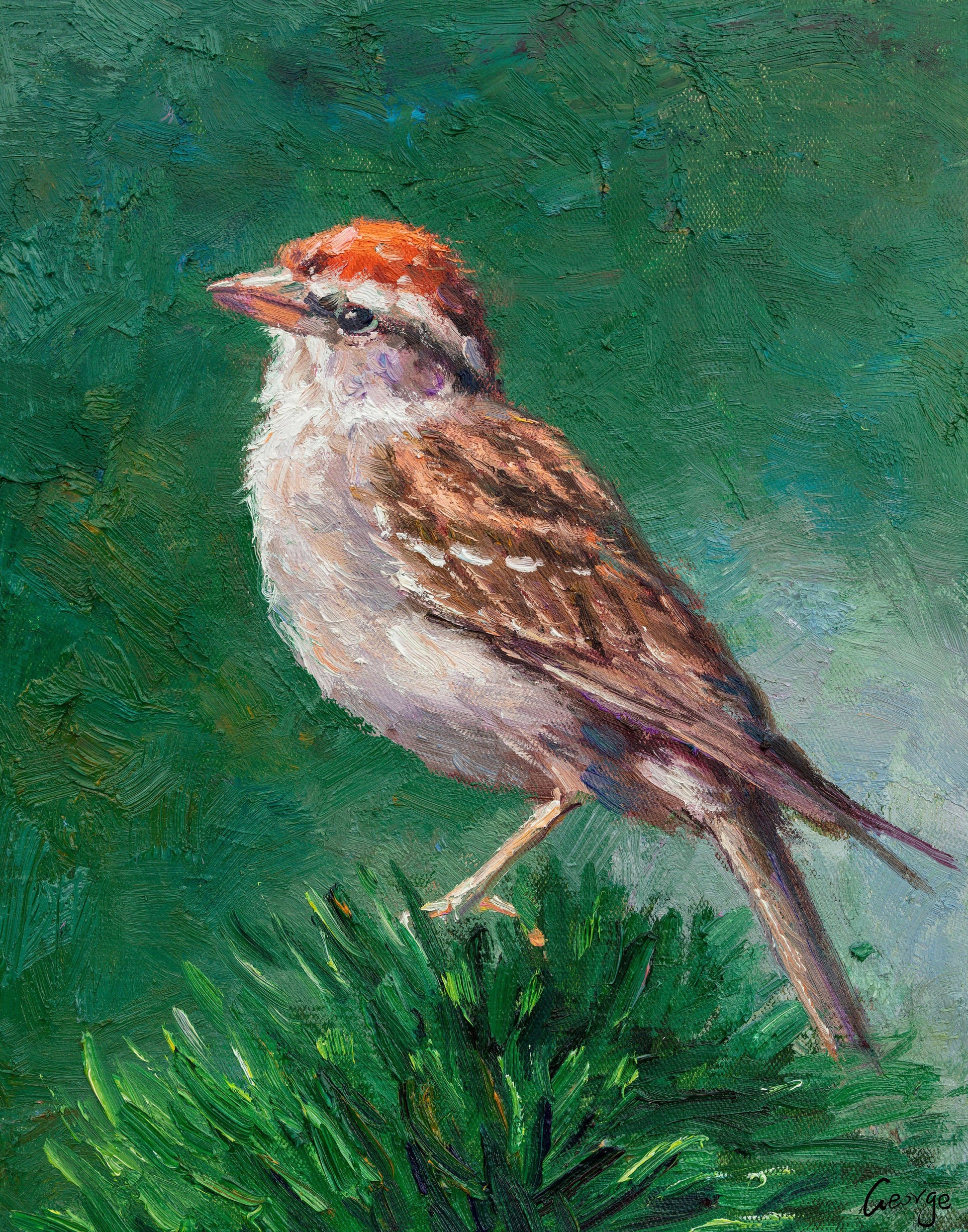 Small Oil Painting Bird House Finch, Bird Decor, Canvas Painting, Original Painting, Coffee Wall Art, Contemporary Art, Birthday Gift