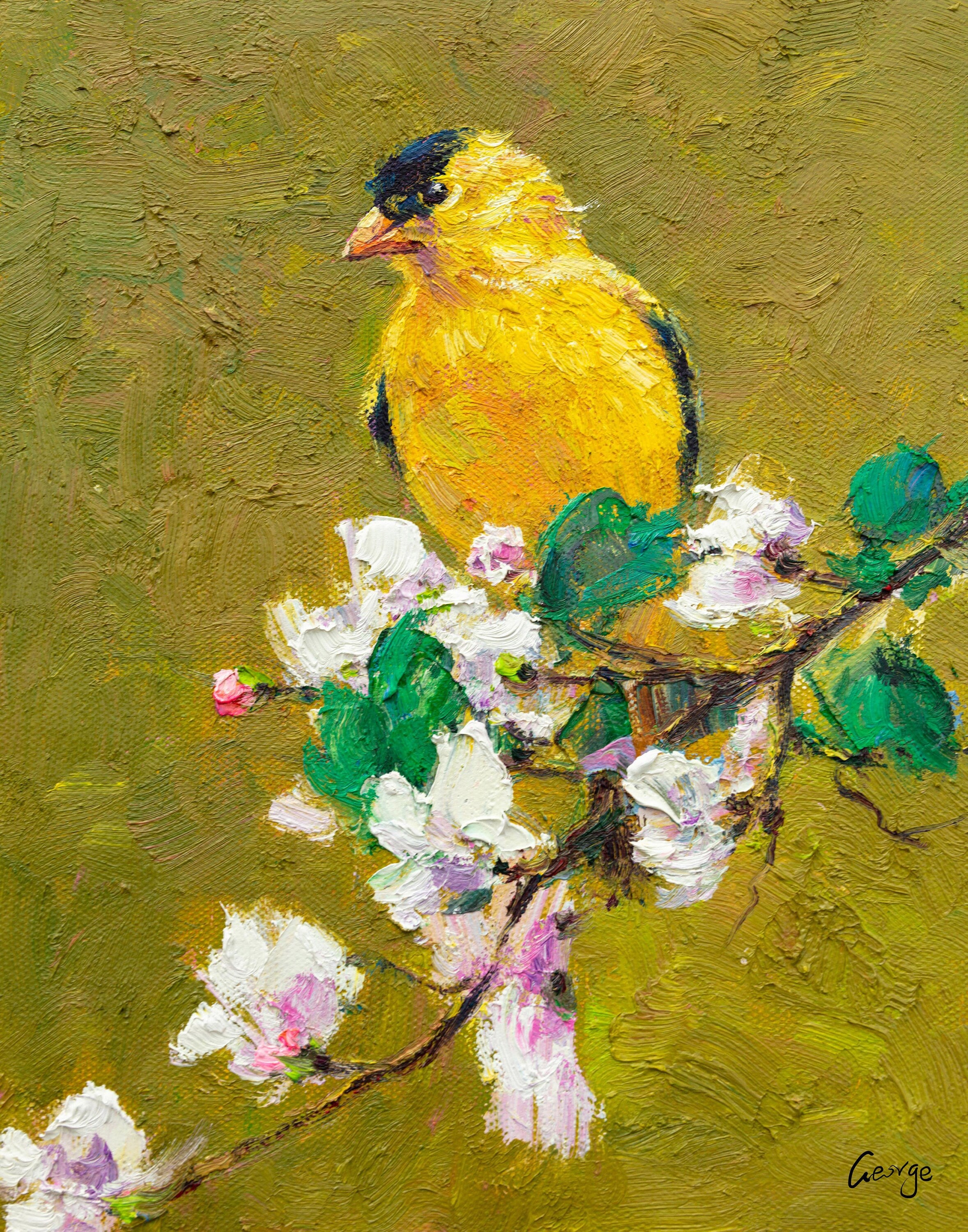 Original acrylic shops painting, bird painting, bird art, yellow goldfinch, nature art, 4 x 4 in., tiny painting, square painting