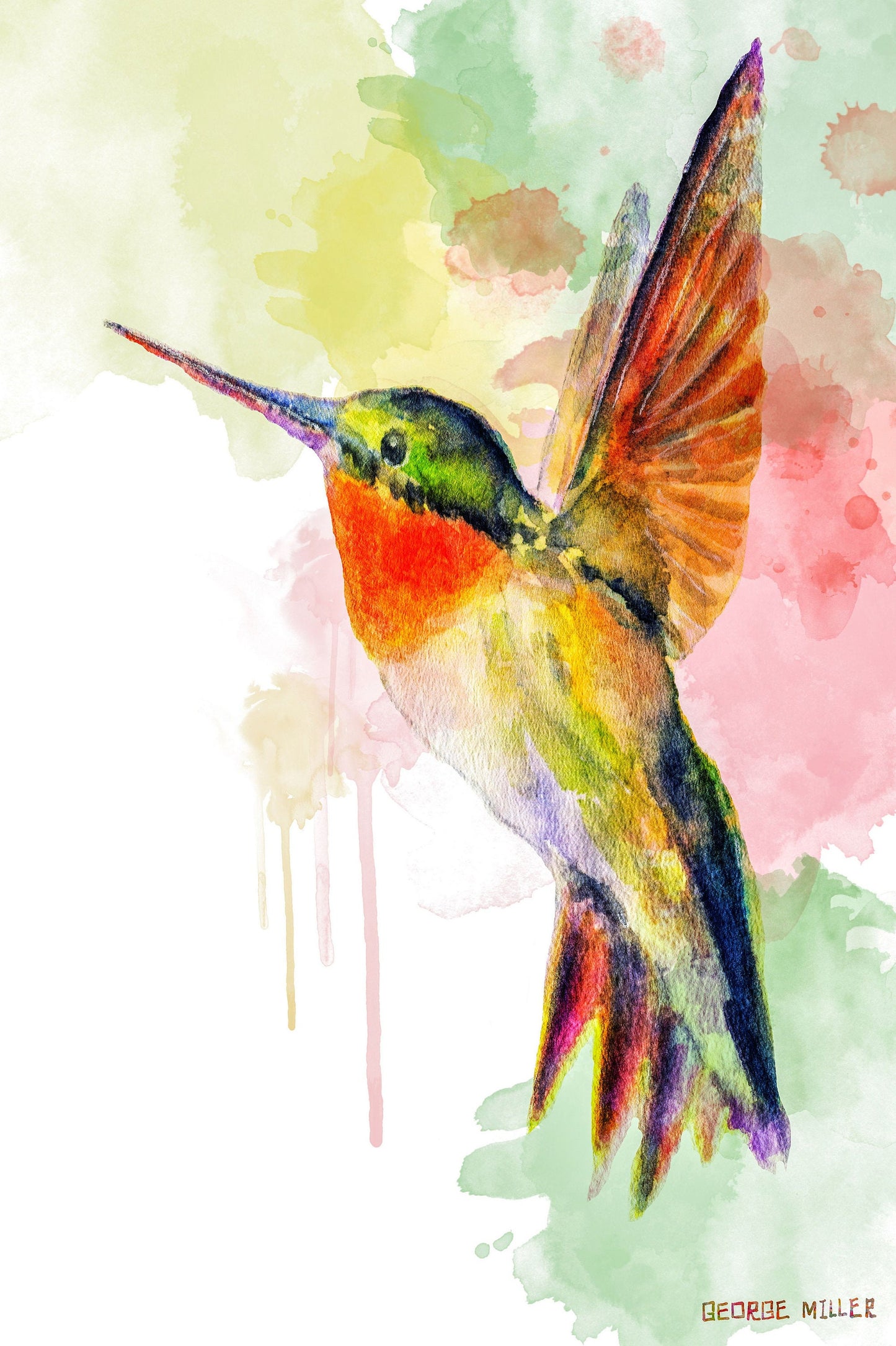 Canvas Print Hummingbird, Wall Prints Minimalist, Abstract Art Print, Art, Artwork Original, Modern Art, Original Artwork Painting