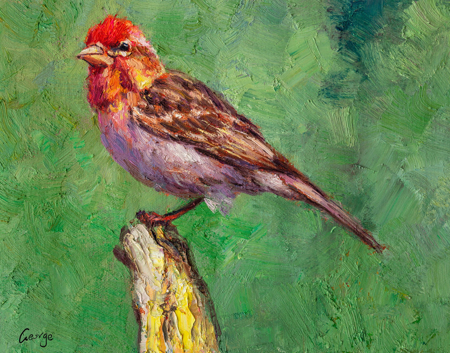 Oil Painting House Finch Bird Artwork, Contemporary Art, Living Room Wall Decor, Painting Abstract, Canvas Wall Decor, Original Painting
